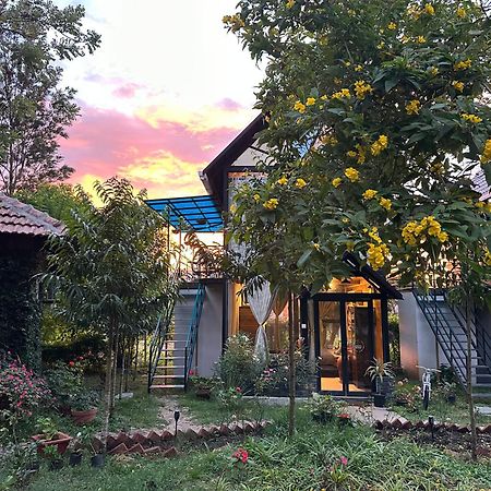 Chalets Resort Masinagudi Ooty Luaran gambar