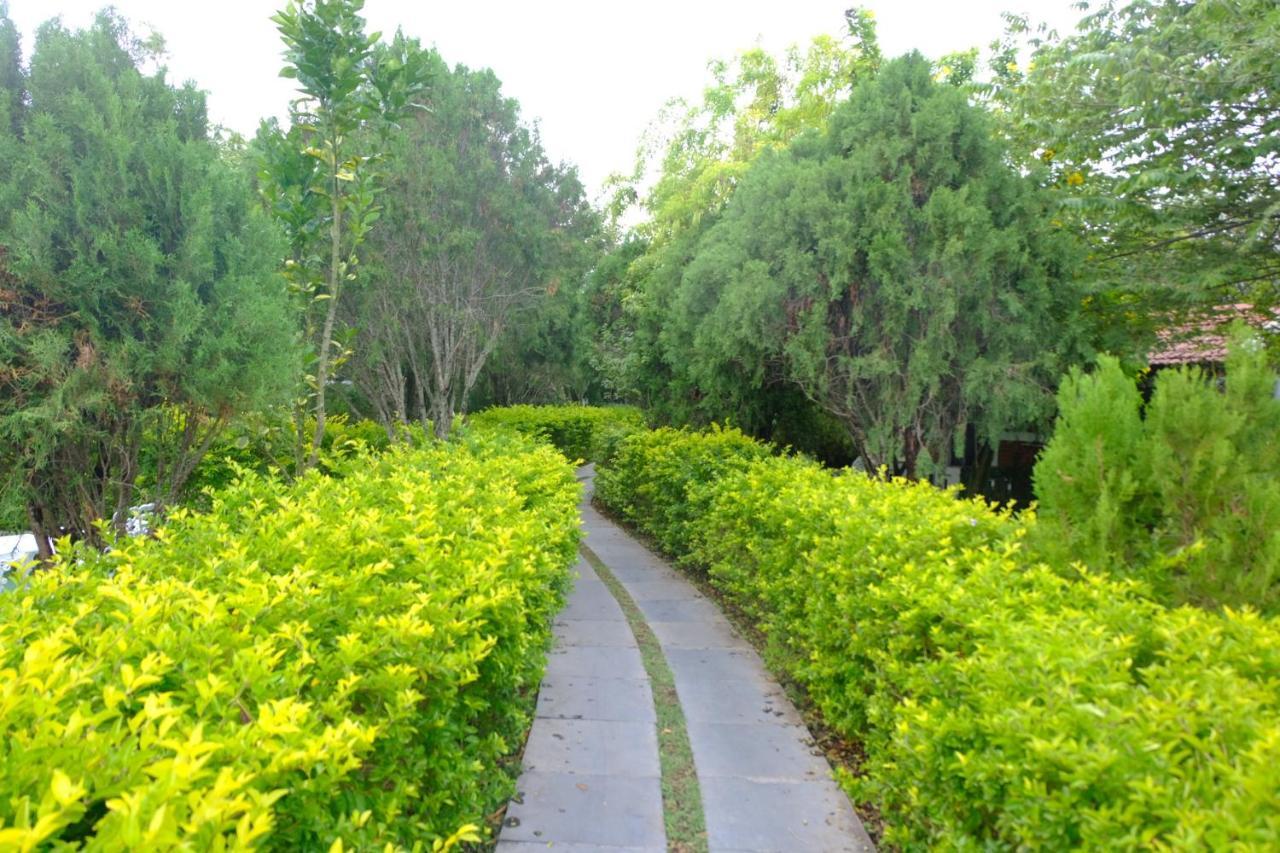 Chalets Resort Masinagudi Ooty Luaran gambar