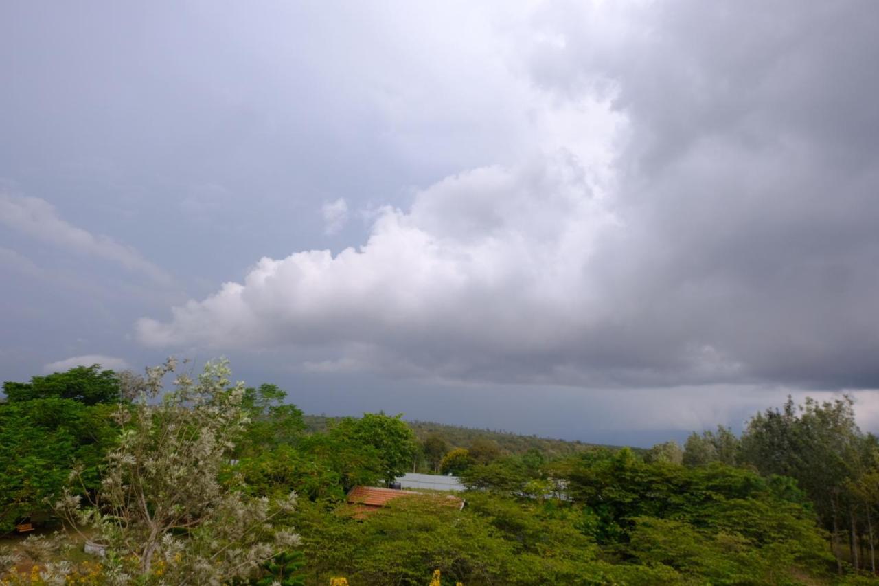 Chalets Resort Masinagudi Ooty Luaran gambar