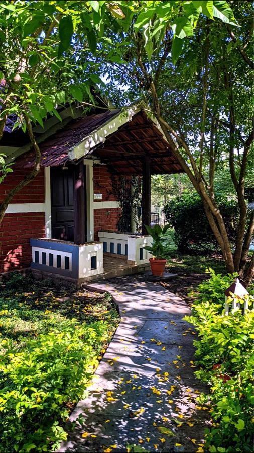 Chalets Resort Masinagudi Ooty Luaran gambar