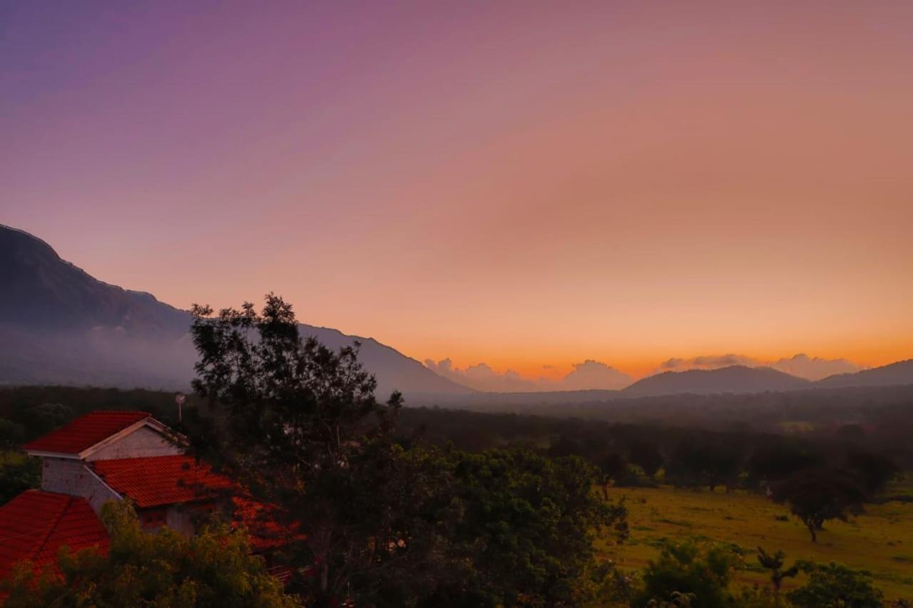 Chalets Resort Masinagudi Ooty Luaran gambar