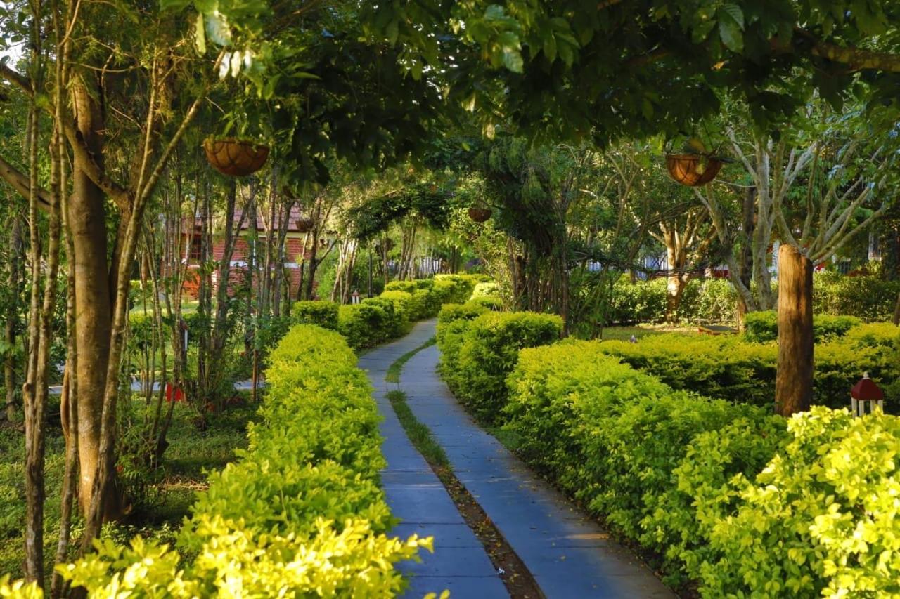 Chalets Resort Masinagudi Ooty Luaran gambar