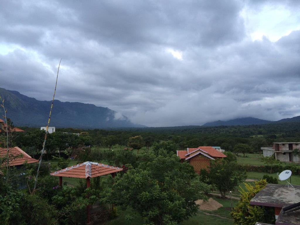 Chalets Resort Masinagudi Ooty Luaran gambar