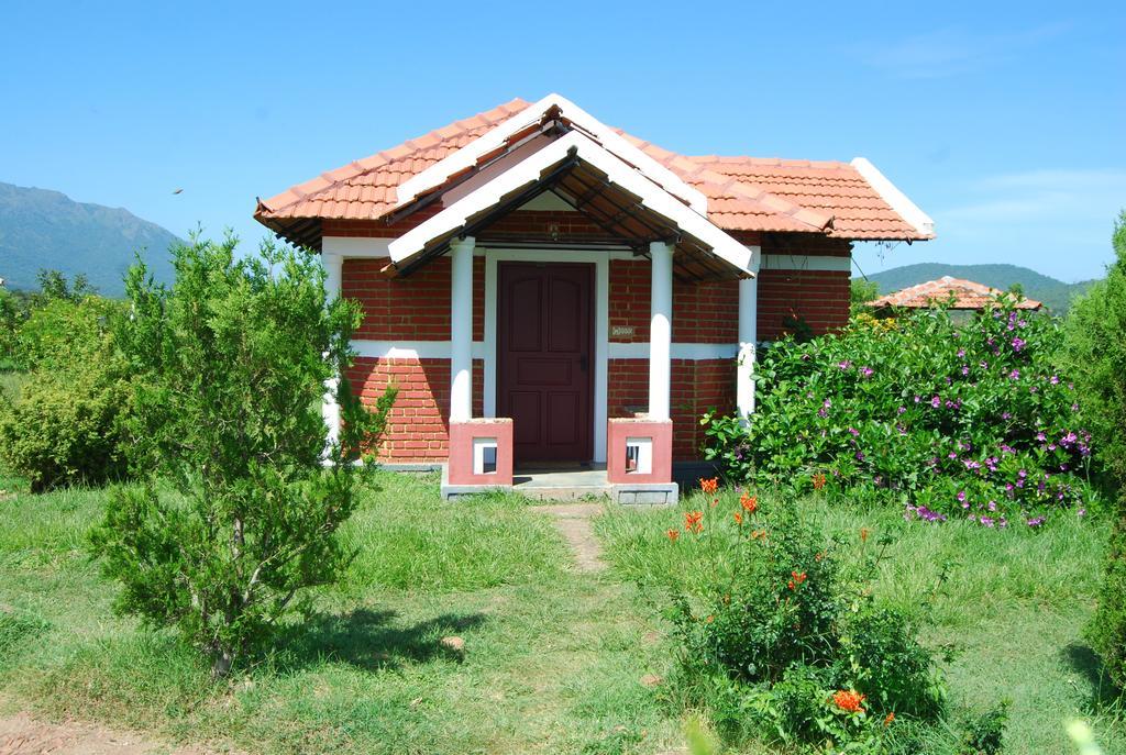 Chalets Resort Masinagudi Ooty Luaran gambar