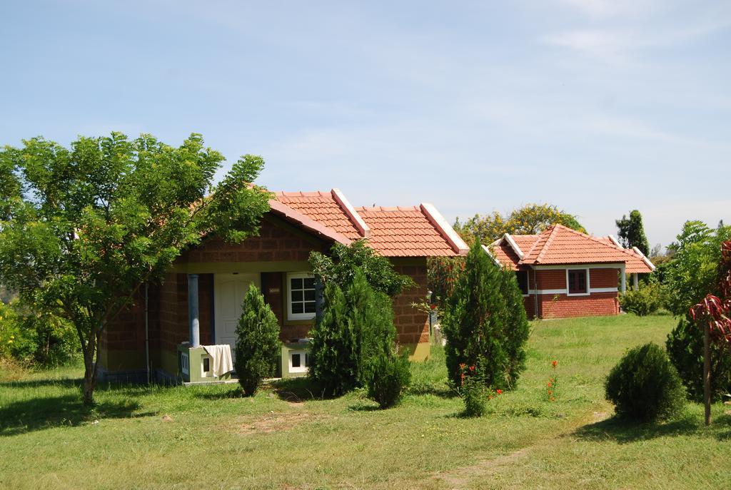 Chalets Resort Masinagudi Ooty Luaran gambar