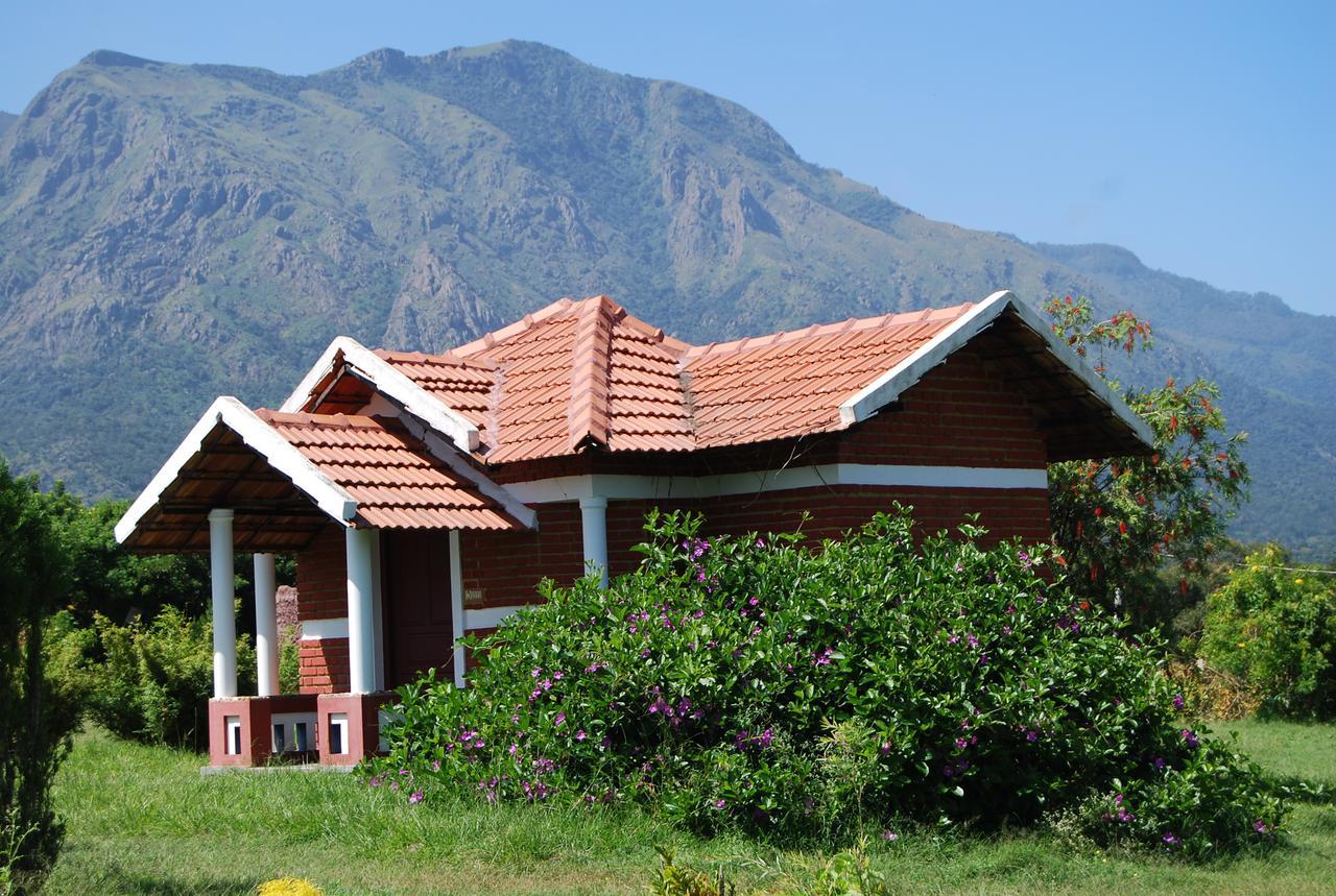 Chalets Resort Masinagudi Ooty Luaran gambar